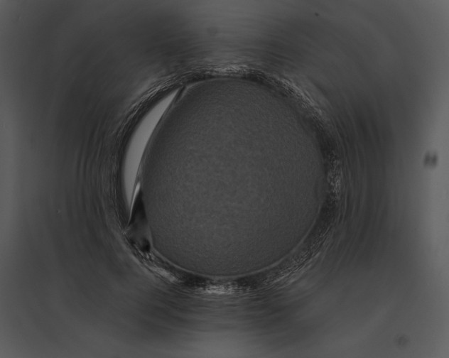 X0000095530744200801041245