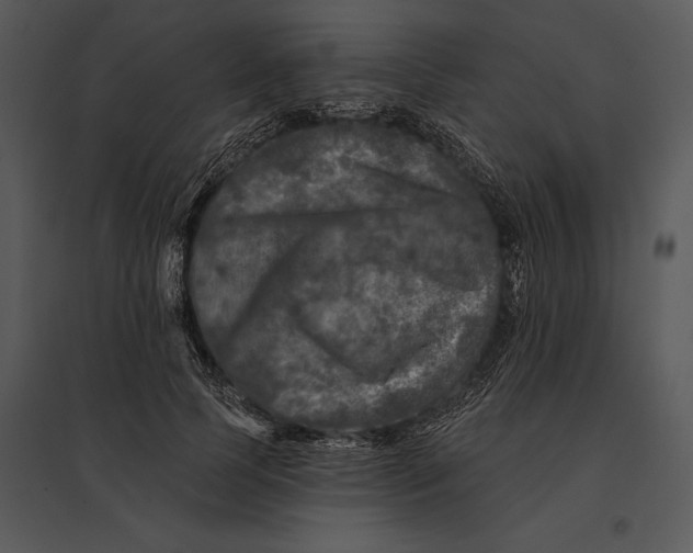 X0000095530745200801041245