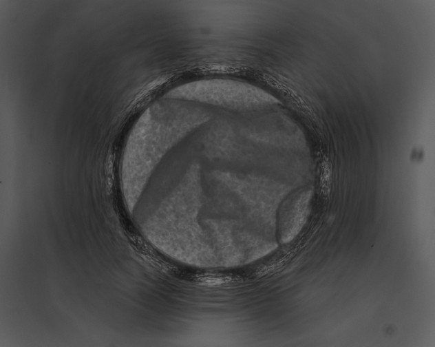 X0000095530746200801041245