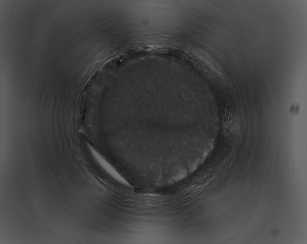 X0000095530748200801041245