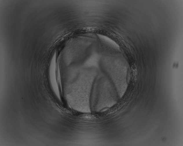 X0000095530750200801041245