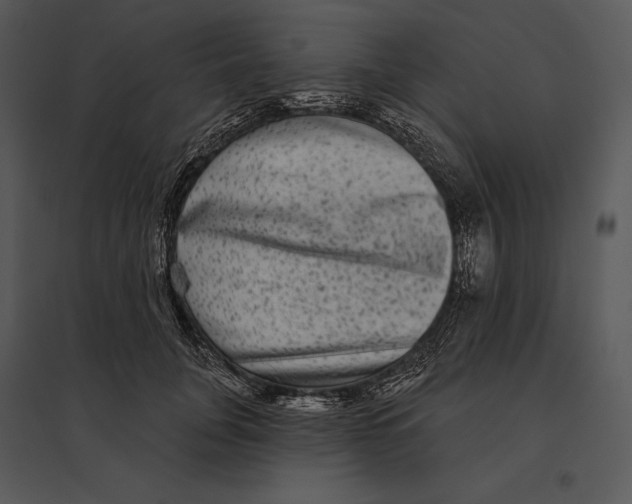 X0000095530751200801041246