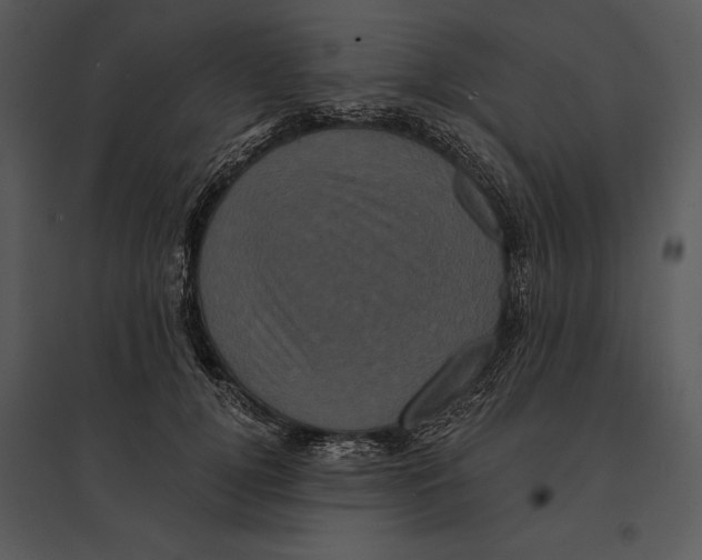 X0000095530752200801041246