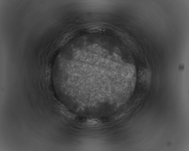 X0000095530753200801041246