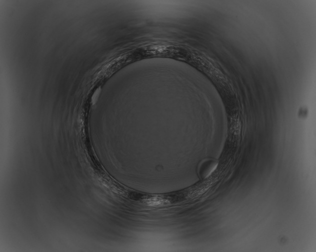 X0000095530754200801041246