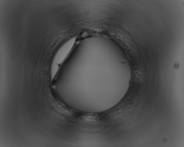 X0000095530756200801041246