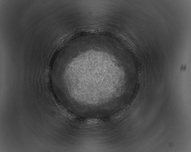 X0000095530757200801041246