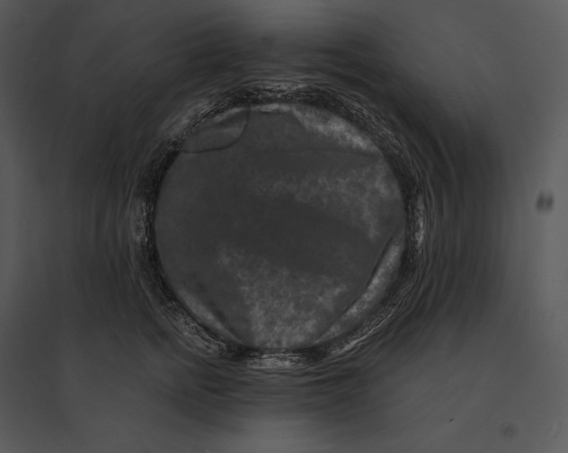 X0000095530758200801041246