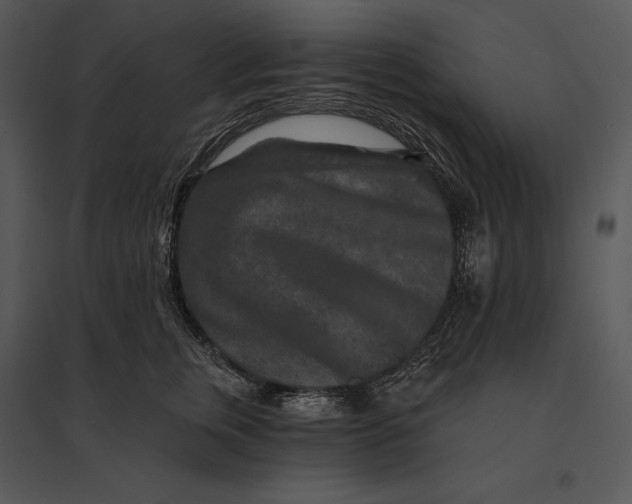 X0000095530759200801041246