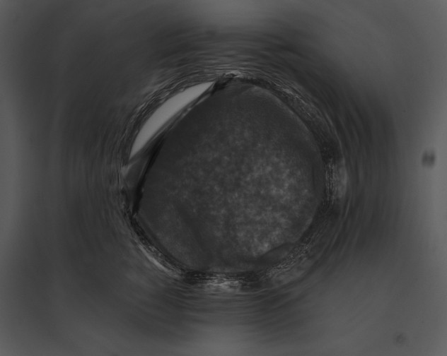 X0000095530760200801041246