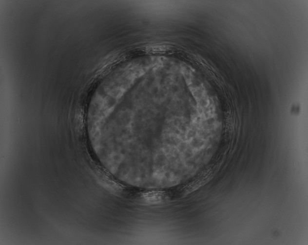 X0000095530761200801041246