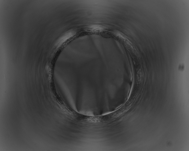 X0000095530762200801041246