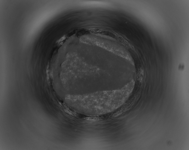 X0000095530763200801041246