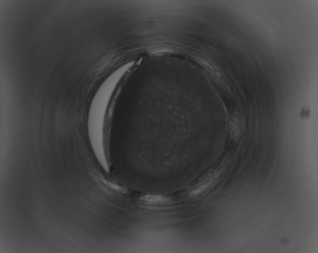 X0000095530766200801041246