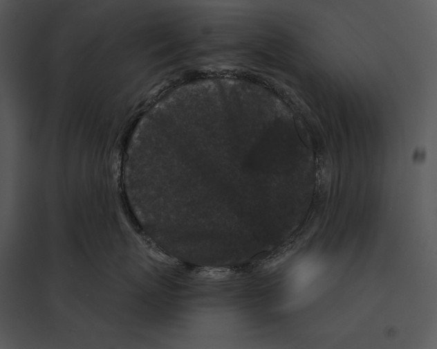 X0000095530767200801041246