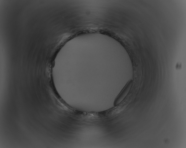 X0000095530768200801041246