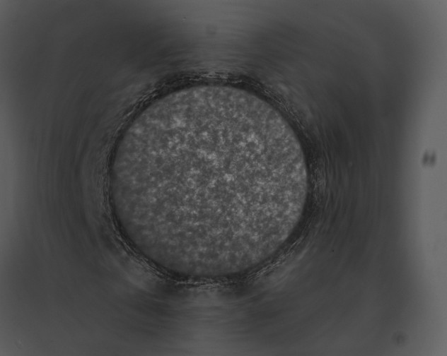 X0000095530769200801041245