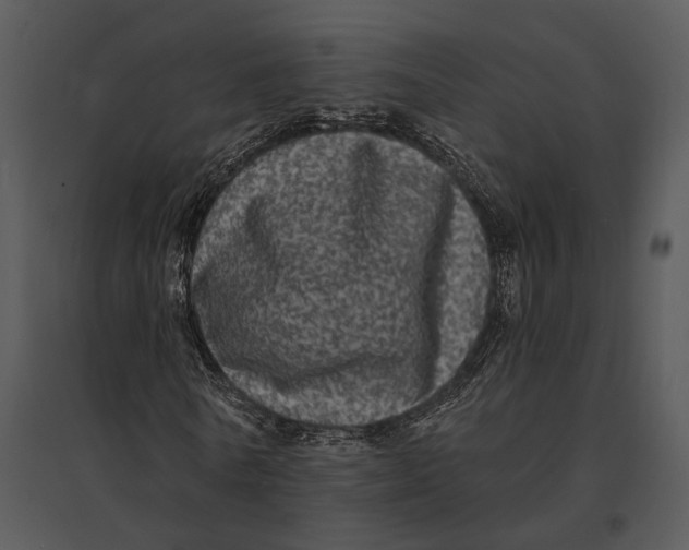 X0000095530770200801041245