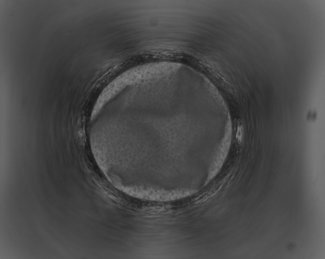 X0000095530771200801041245