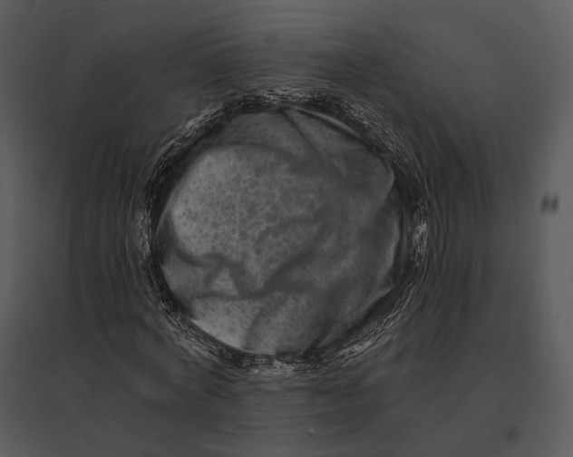 X0000095530772200801041245