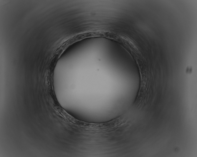 X0000095530773200801041245