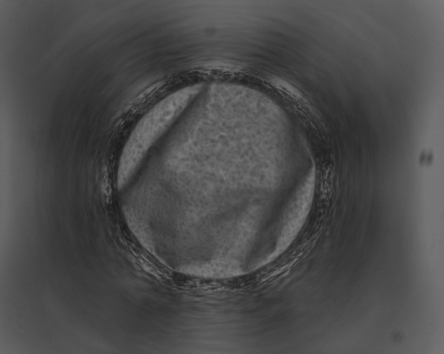 X0000095530774200801041245