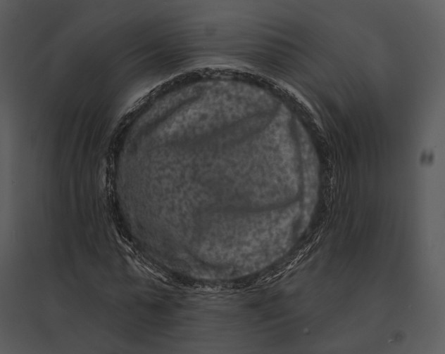 X0000095530775200801041245