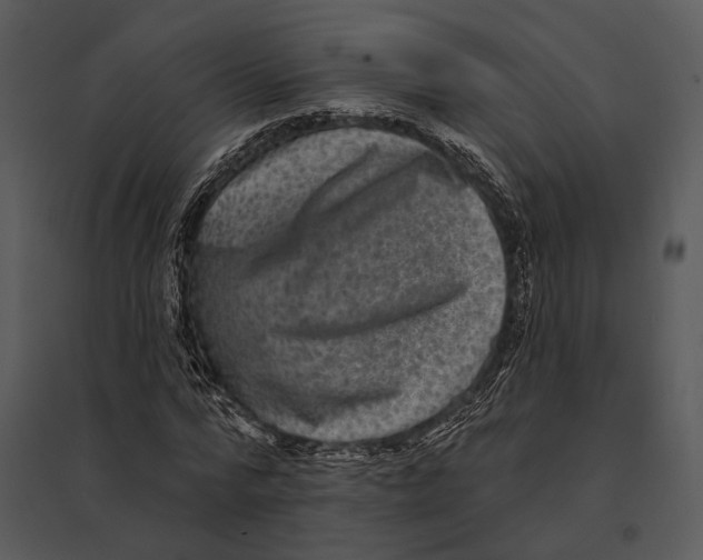 X0000095530776200801041245