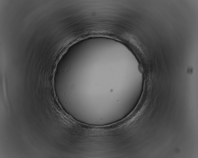 X0000095530777200801041245