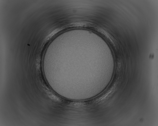 X0000095530778200801041245