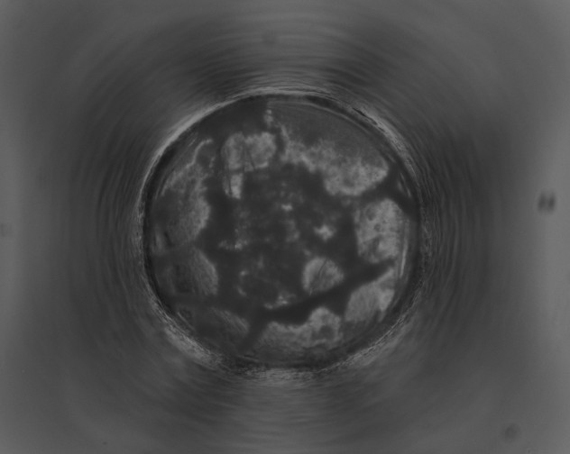 X0000095530779200801041245