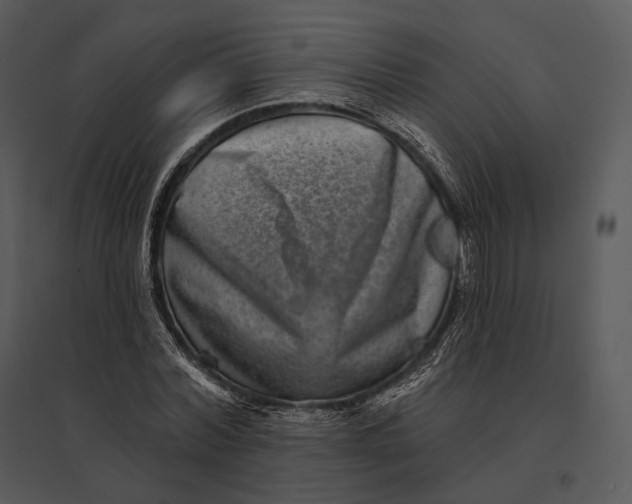 X0000095530780200801041245