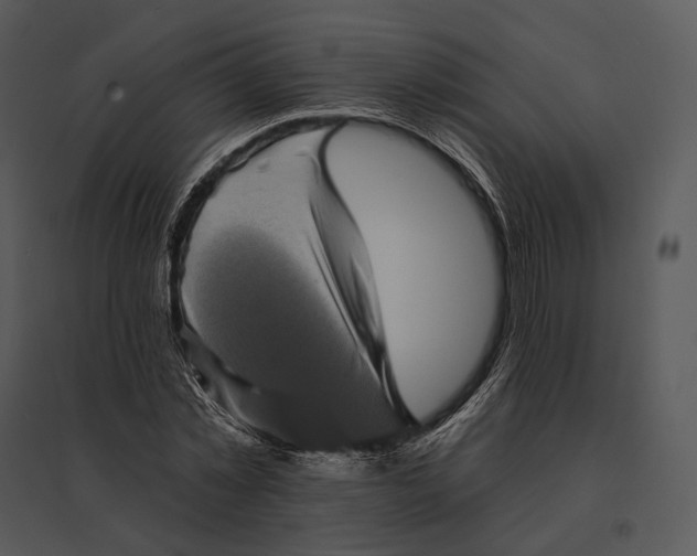 X0000095530781200801041245