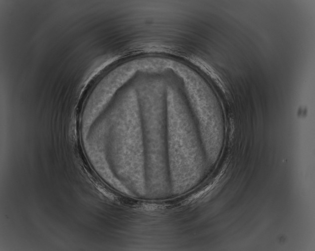 X0000095530782200801041245