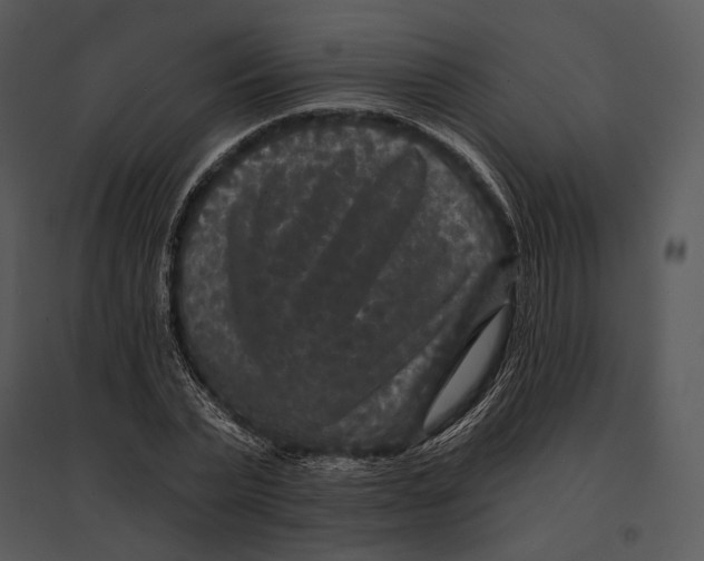 X0000095530783200801041245