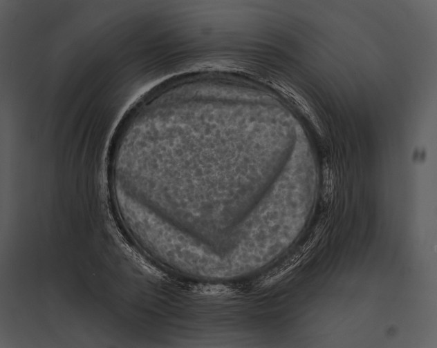 X0000095530784200801041245