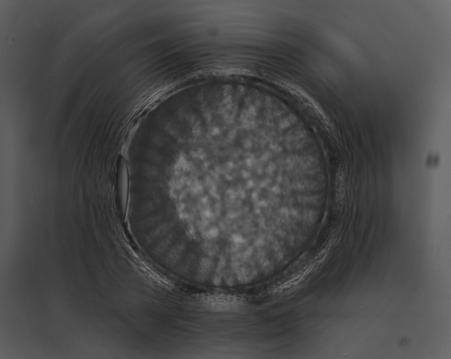 X0000095530785200801041245