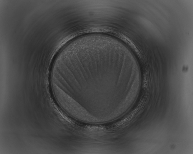 X0000095530786200801041245