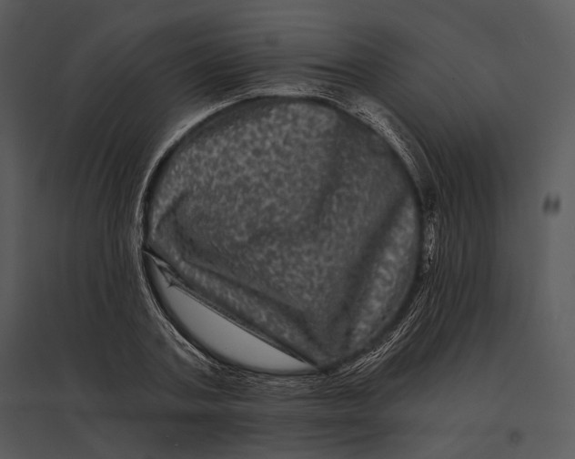 X0000095530787200801041245