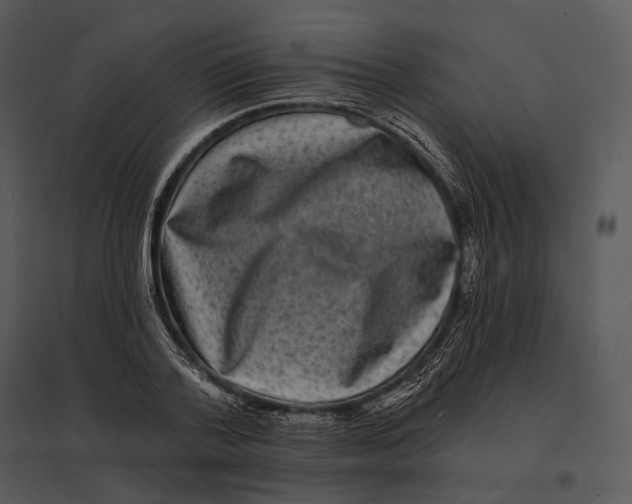 X0000095530788200801041245