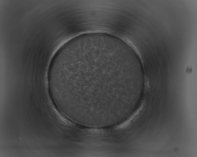 X0000095530789200801041245