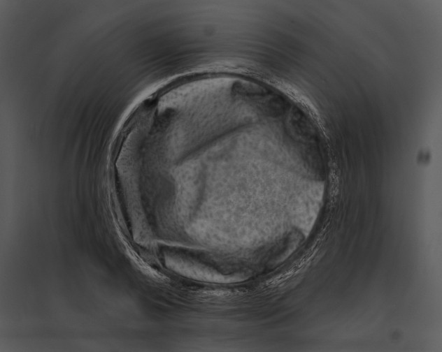 X0000095530792200801041245