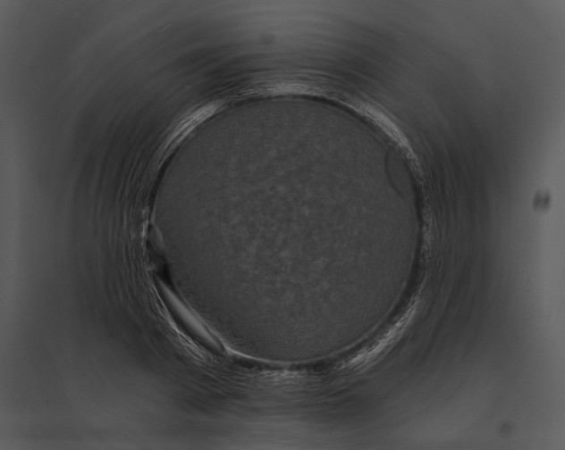 X0000095530793200801041245