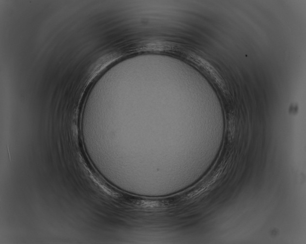 X0000095530794200801041245