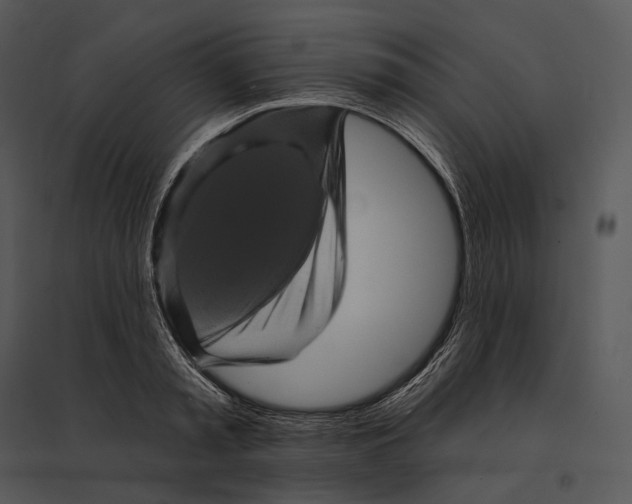 X0000095530797200801041245