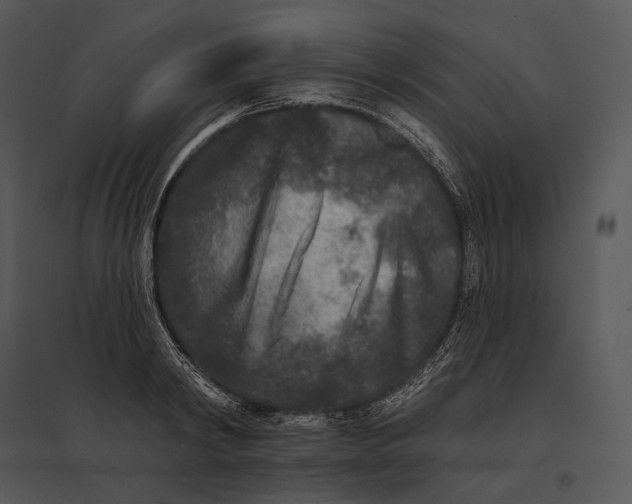 X0000095530798200801041245