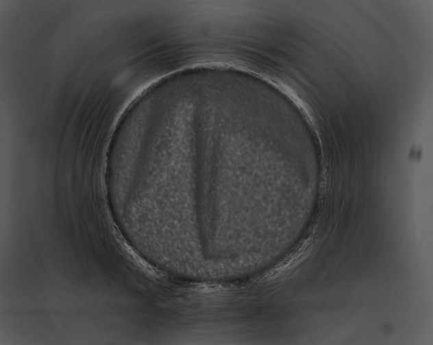 X0000095530799200801041245