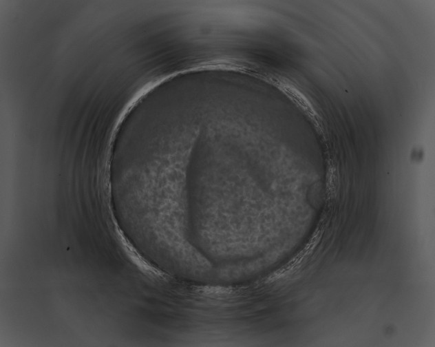 X0000095530800200801041245