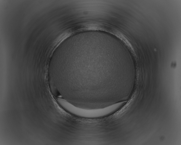 X0000095530801200801041245