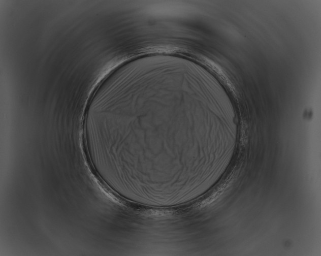 X0000095530802200801041245